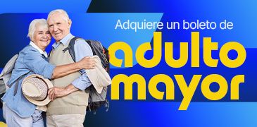Manual de boleto tipo Adulto Mayor