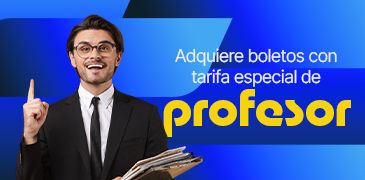 Manual de boleto tipo Profesor