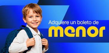 Manual de boleto tipo Menor