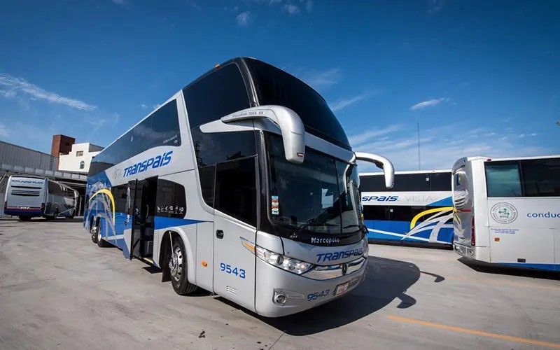 Paradiso 1800 (i-Bus) thumbnail 1